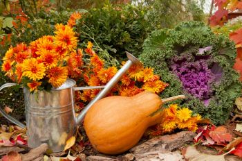 15x Tuintips voor oktober