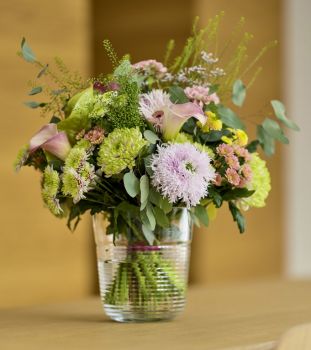 De chrysant staat in februari op de Bloemenagenda