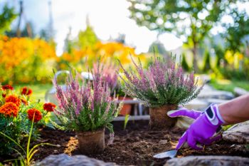 In het najaar aan de slag in de tuin