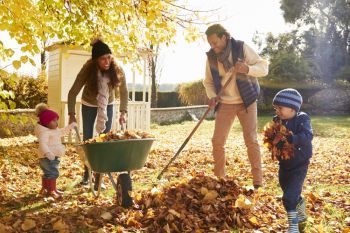 Maak de tuin herfstklaar