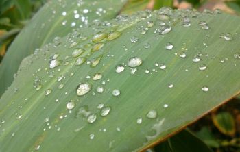 Goede afwatering in de tuin