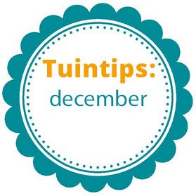 Wat te doen in de tuin in december?