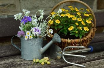 Wat te doen in de tuin in juni?