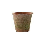 Azalea Pot Rood - Ø 16 x H 14,5 cm - afbeelding 1