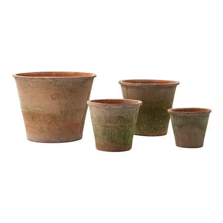 Azalea Pot Rood - Ø 16 x H 14,5 cm - afbeelding 2