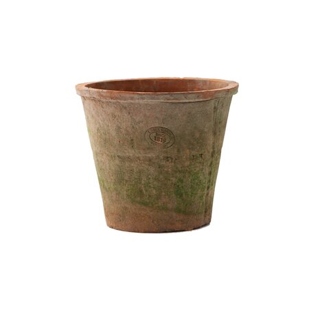 Azalea Pot Rood - Ø 20 x H 19 cm - afbeelding 1