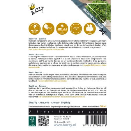 Buzzy® Basilicum Bascuro - afbeelding 2