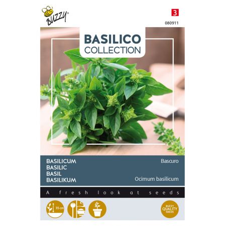 Buzzy® Basilicum Bascuro - afbeelding 1