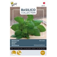 Buzzy® Basilicum Blue Spice - afbeelding 1