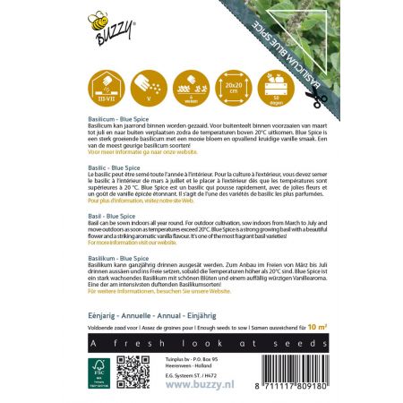 Buzzy® Basilicum Blue Spice - afbeelding 2