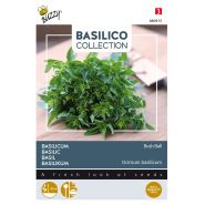 Buzzy® Basilicum Greek Basil Bush Ball - afbeelding 1