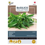 Buzzy® Basilicum Lemon - afbeelding 1