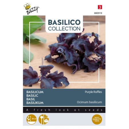 Buzzy® Basilicum Purple Ruffles - afbeelding 1