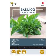 Buzzy® Basilicum Small-leaf - afbeelding 1