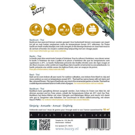 Buzzy® Basilicum Thai - afbeelding 2