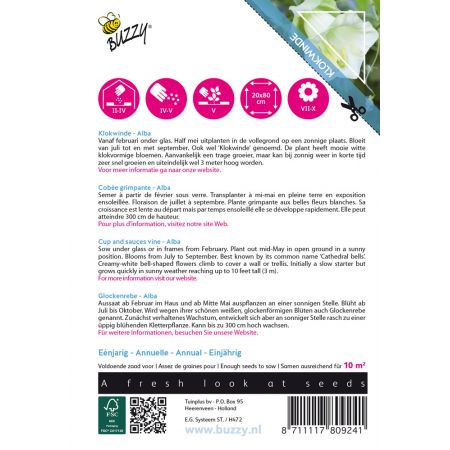 Buzzy® Climbing Flowers, Cobaea Alba Wit - afbeelding 2