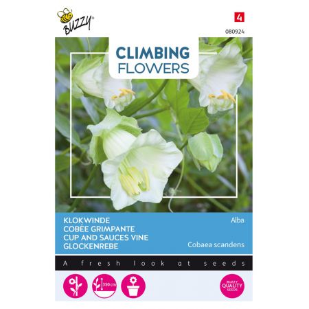 Buzzy® Climbing Flowers, Cobaea Alba Wit - afbeelding 1