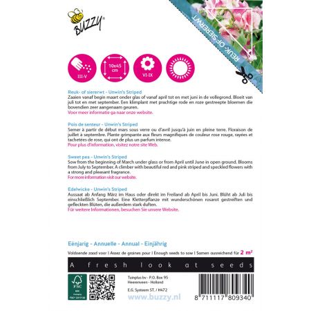 Buzzy® Climbing Flowers, Lathyrus Unwin's Striped - afbeelding 2