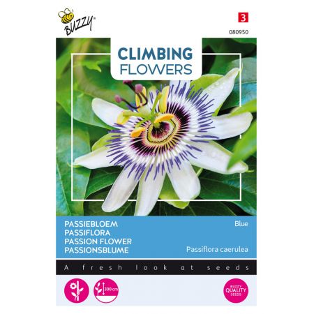 Buzzy® Climbing Flowers, Passiebloem Blauw - afbeelding 1