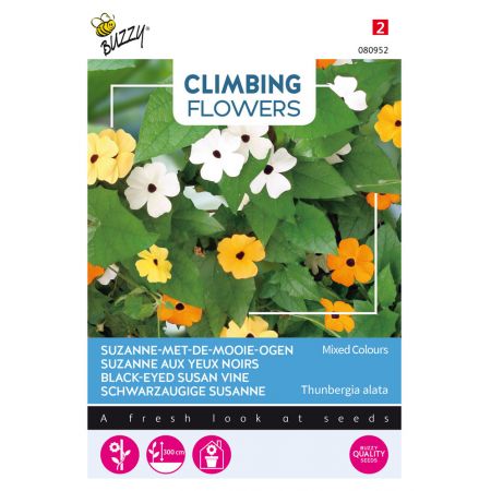 Buzzy® Climbing Flowers Thunbergia, Suzanne-met-mooie-ogen - afbeelding 1