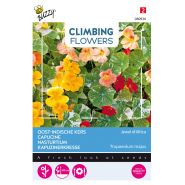 Buzzy® Climbing Flowers, Tropaeolum Jewel of Africa - afbeelding 1