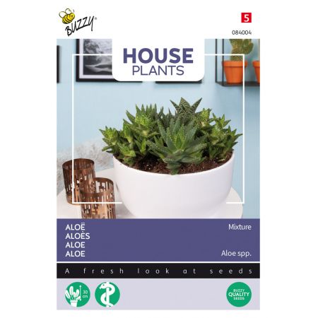 Buzzy® House Plants Aloë gemengde soorten - afbeelding 1