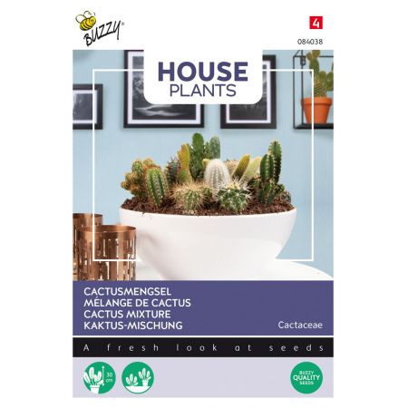 Buzzy® House Plants Cactus mengsel - afbeelding 1