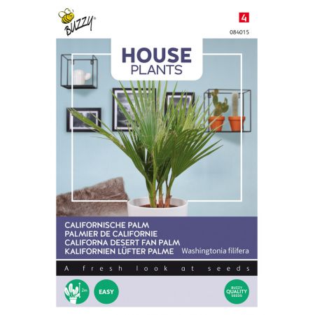 Buzzy® House Plants Californische palm - afbeelding 1