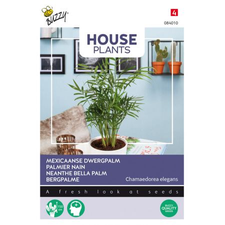 Buzzy® House Plants Chamaedorea, Dwergpalm - afbeelding 1