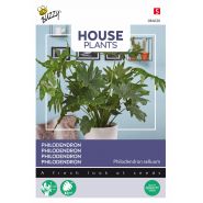 Buzzy® House Plants Philodendron Selluom - afbeelding 1