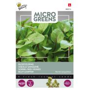 Buzzy® Microgreens, Bloedzuring - afbeelding 1