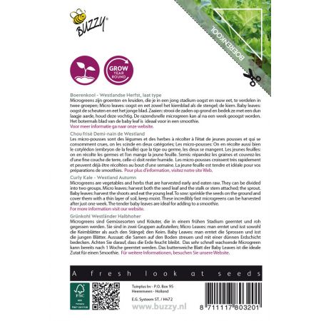 Buzzy® Microgreens, Boerenkool Westlandse Herfst - afbeelding 2