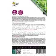 Buzzy® Microgreens, Boerenkool Westlandse Herfst - afbeelding 2