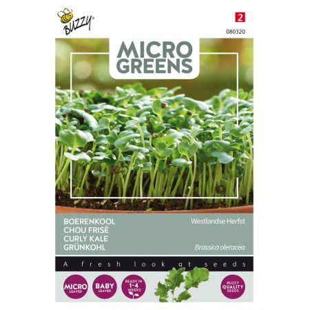 Buzzy® Microgreens, Boerenkool Westlandse Herfst - afbeelding 1