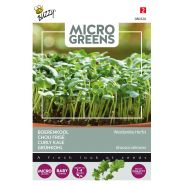 Buzzy® Microgreens, Boerenkool Westlandse Herfst - afbeelding 1