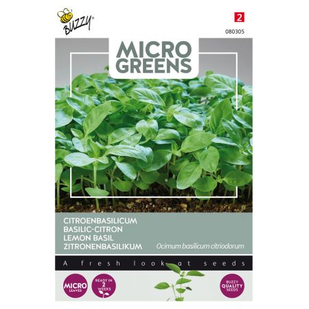 Buzzy® Microgreens, Citroenbasilicum - afbeelding 1