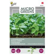 Buzzy® Microgreens, Citroenbasilicum - afbeelding 1