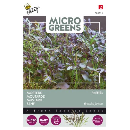 Buzzy® Microgreens, Mosterd Red Frills - afbeelding 1