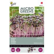 Buzzy® Microgreens, Radijs Rode Daikon - afbeelding 1