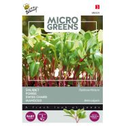 Buzzy® Microgreens, Snijbiet Regenboogmengsel - afbeelding 1