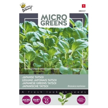 Buzzy® Microgreens, Tatsoi - afbeelding 1