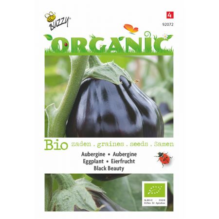 Buzzy® Organic Aubergine Black Beauty (BIO) - afbeelding 1