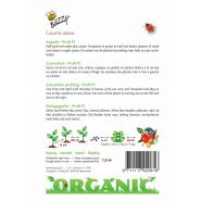 Buzzy® Organic Augurk Profi F1 (BIO) - afbeelding 2