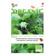 Buzzy® Organic Aziatische Mesclun (BIO) - afbeelding 1