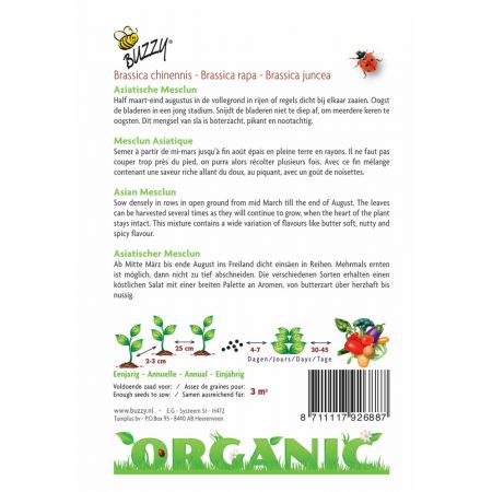 Buzzy® Organic Aziatische Mesclun (BIO) - afbeelding 2