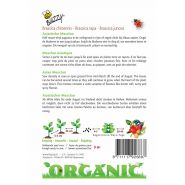 Buzzy® Organic Aziatische Mesclun (BIO) - afbeelding 2