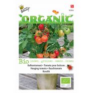 Buzzy® Organic Balkontomaat Koralik (BIO) - afbeelding 1