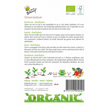 Buzzy® Organic Basilicum Red Rubin (BIO) - afbeelding 2