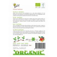 Buzzy® Organic Basilicum Red Rubin (BIO) - afbeelding 2