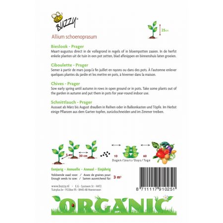 Buzzy® Organic Bieslook Prager  (BIO) - afbeelding 2